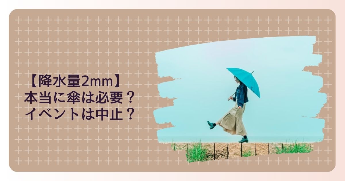 【降水量2mm】 本当に傘は必要？ イベントは中止？