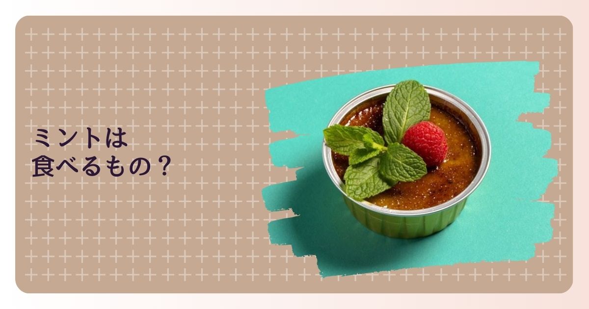 ミントは食べるもの？それとも飾り？使い方とコツを解説します | idea & life