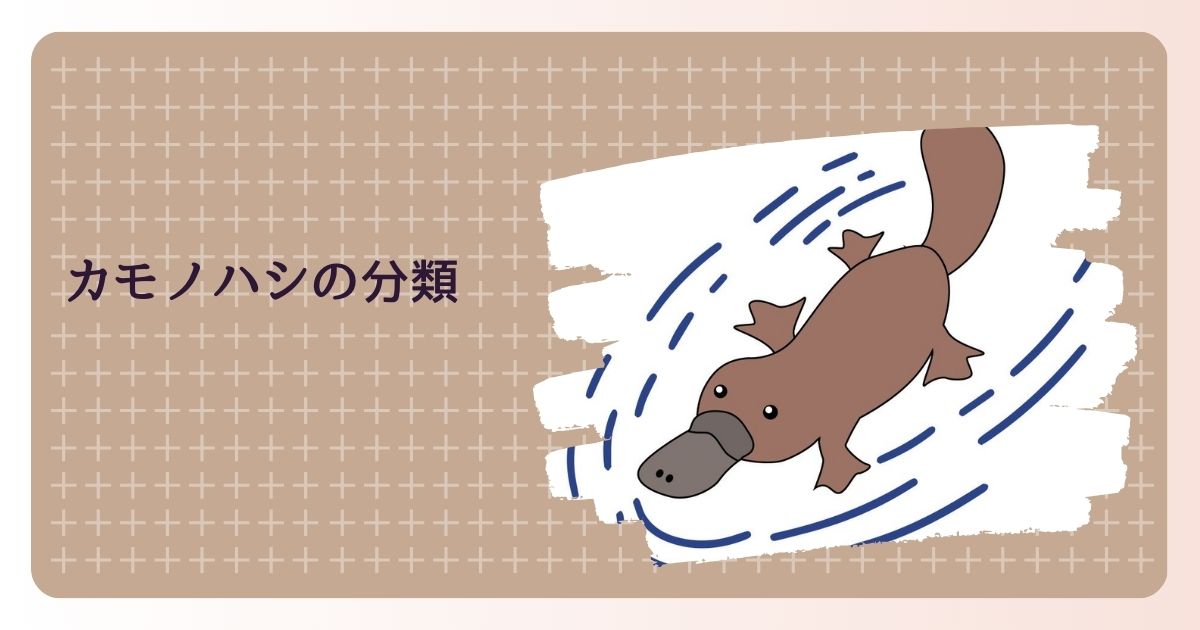 カモノハシの分類